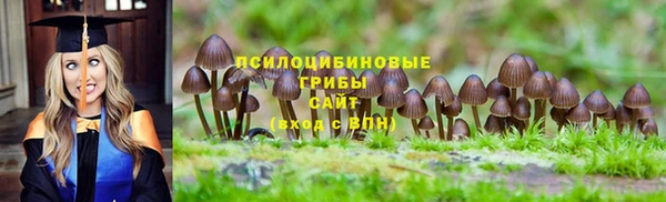 гидропоника Строитель
