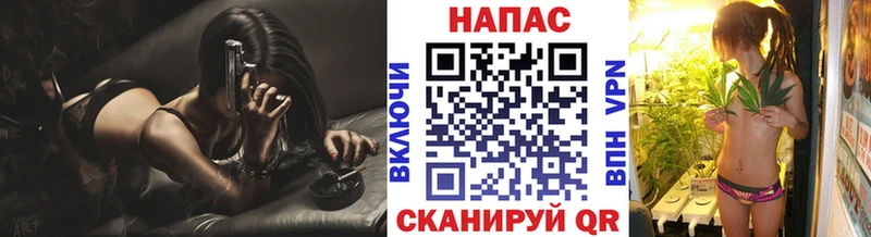 как найти наркотики  Судогда  Канабис индика 